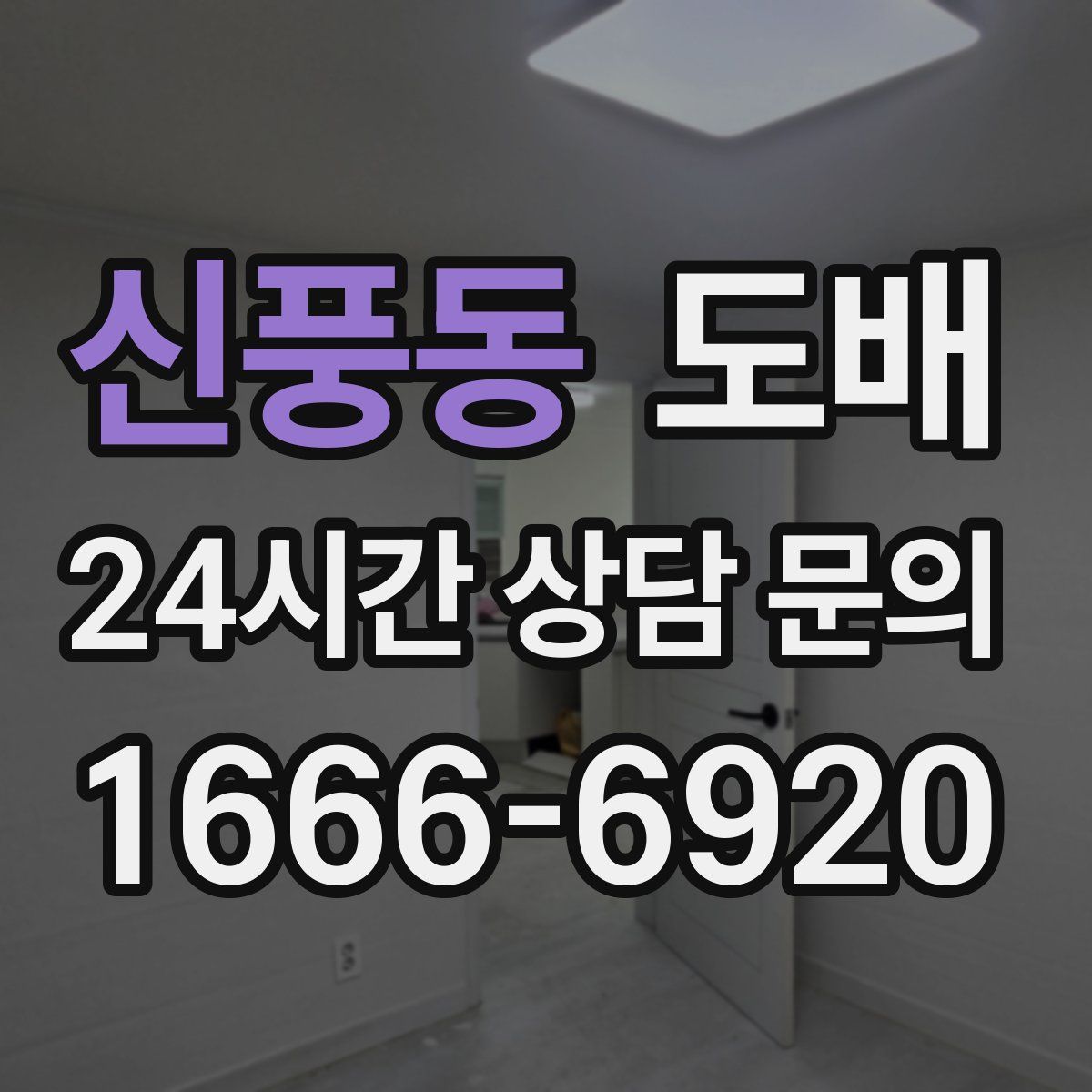 신풍동 도배