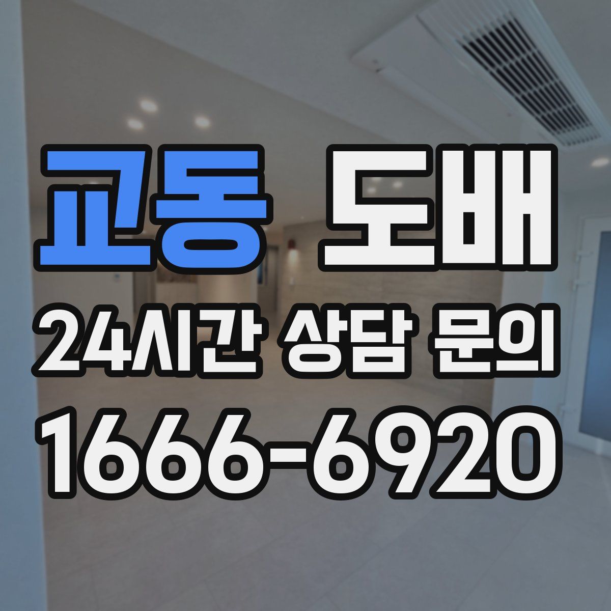 교동 도배
