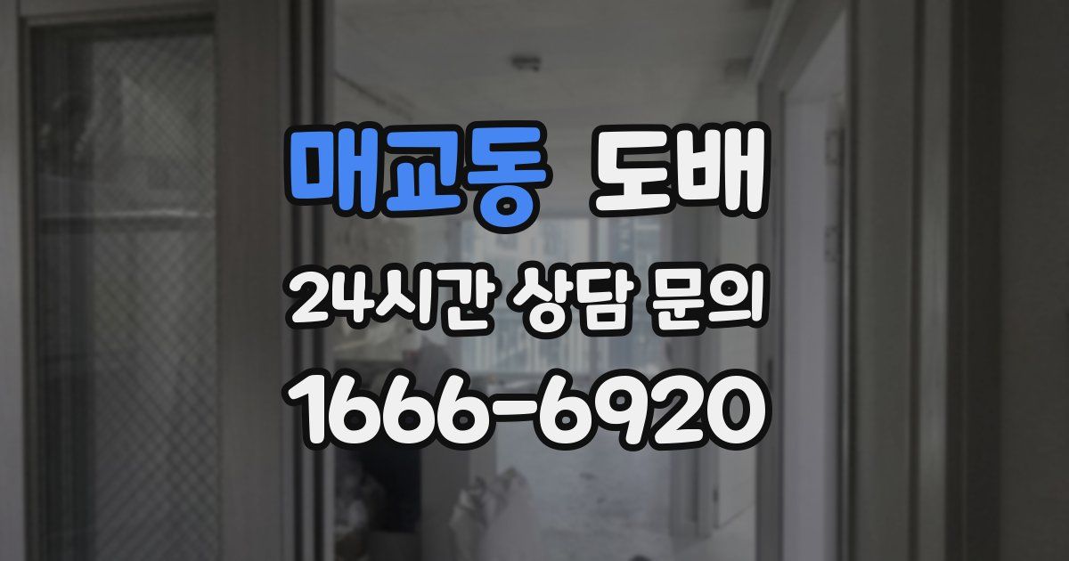 매교동 도배