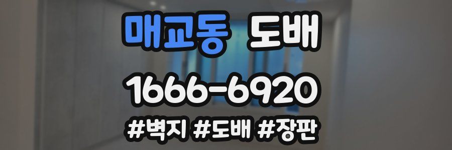 매교동 도배