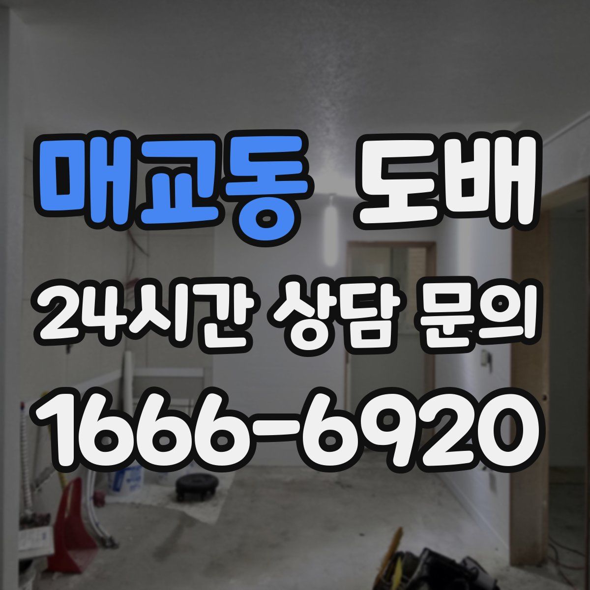 매교동 도배