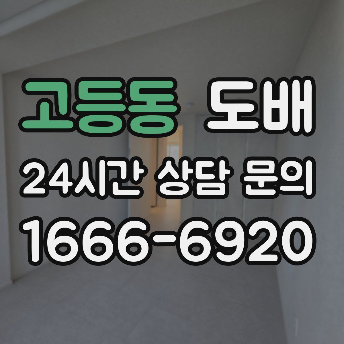 고등동 도배