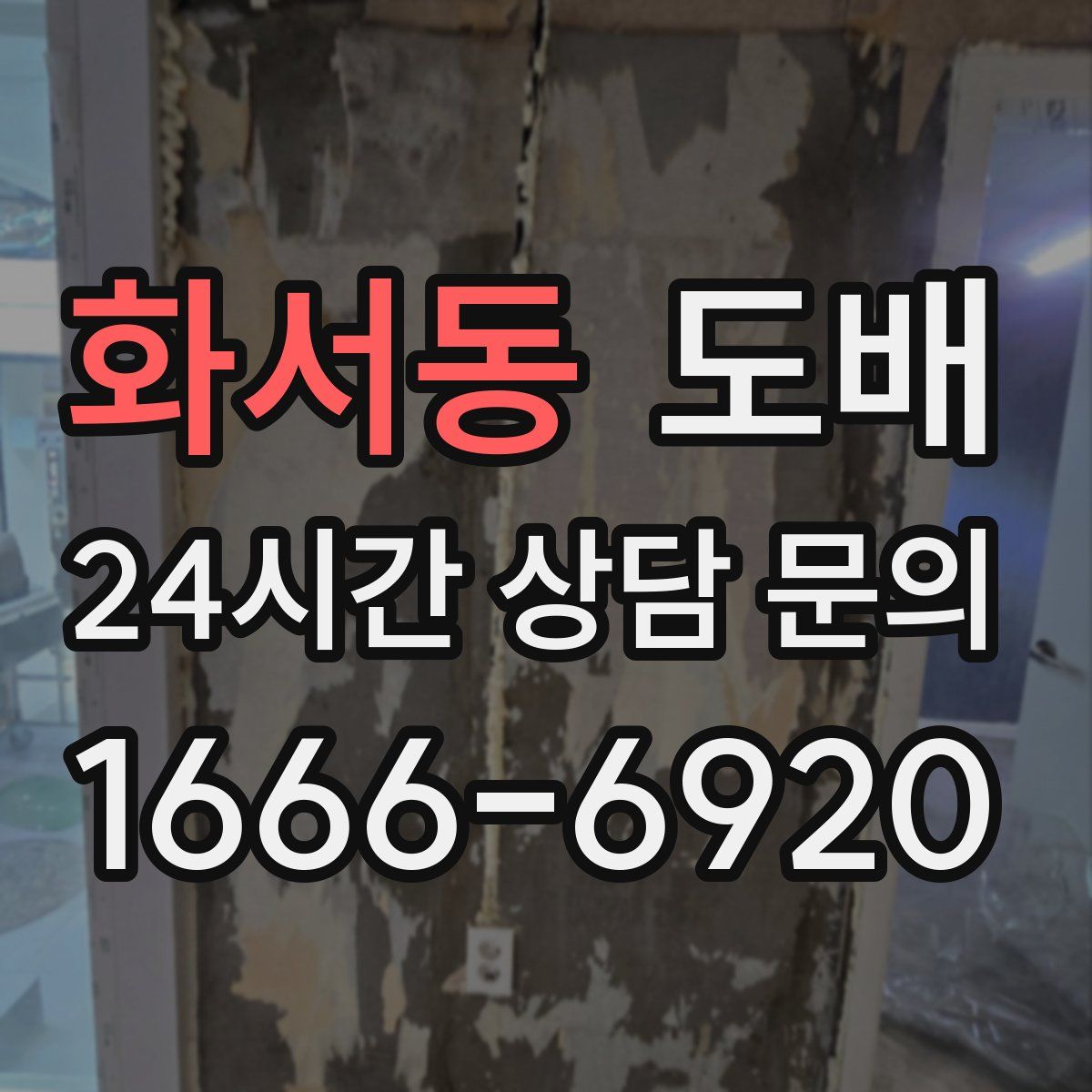 화서동 도배