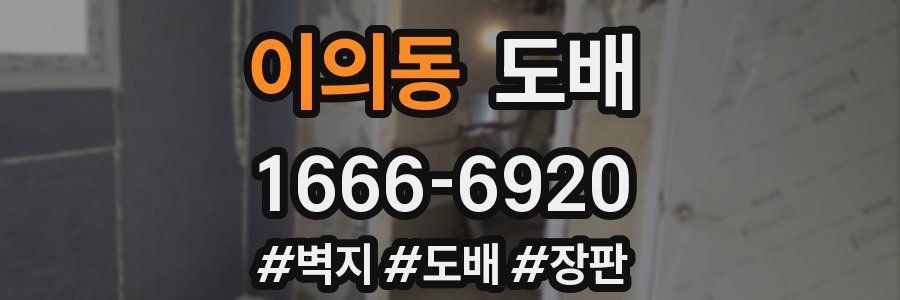이의동 도배