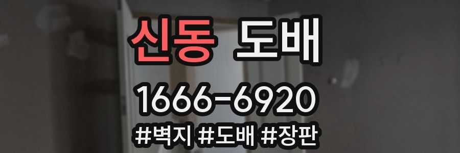 신동 도배