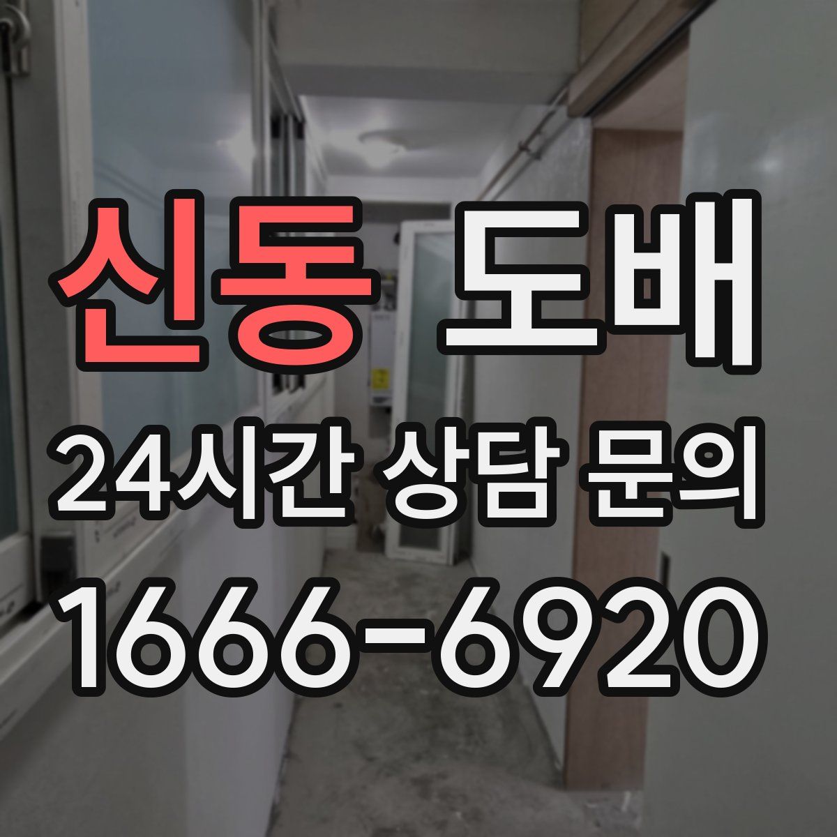 신동 도배