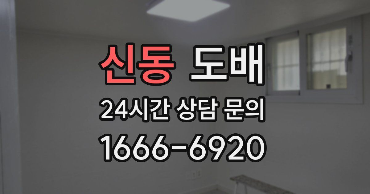 신동 도배
