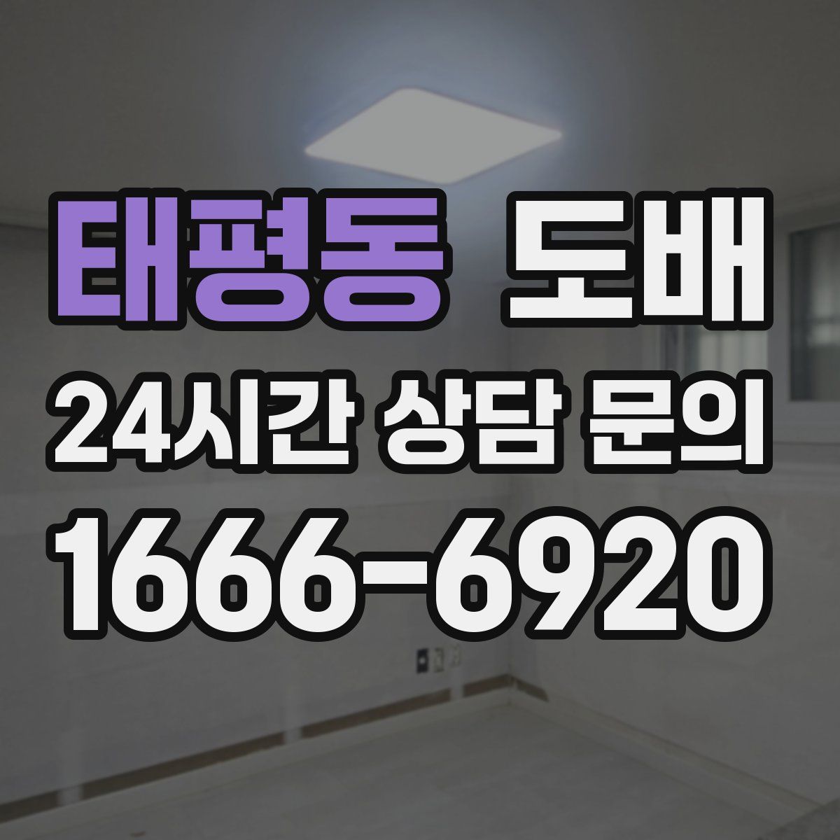 태평동 도배