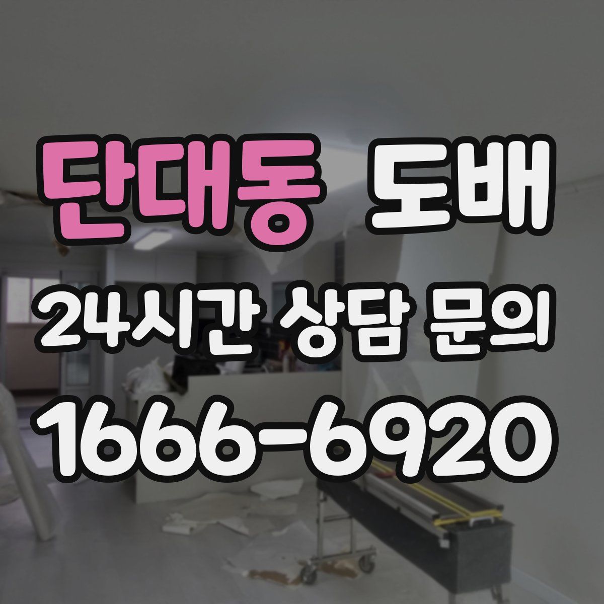단대동 도배
