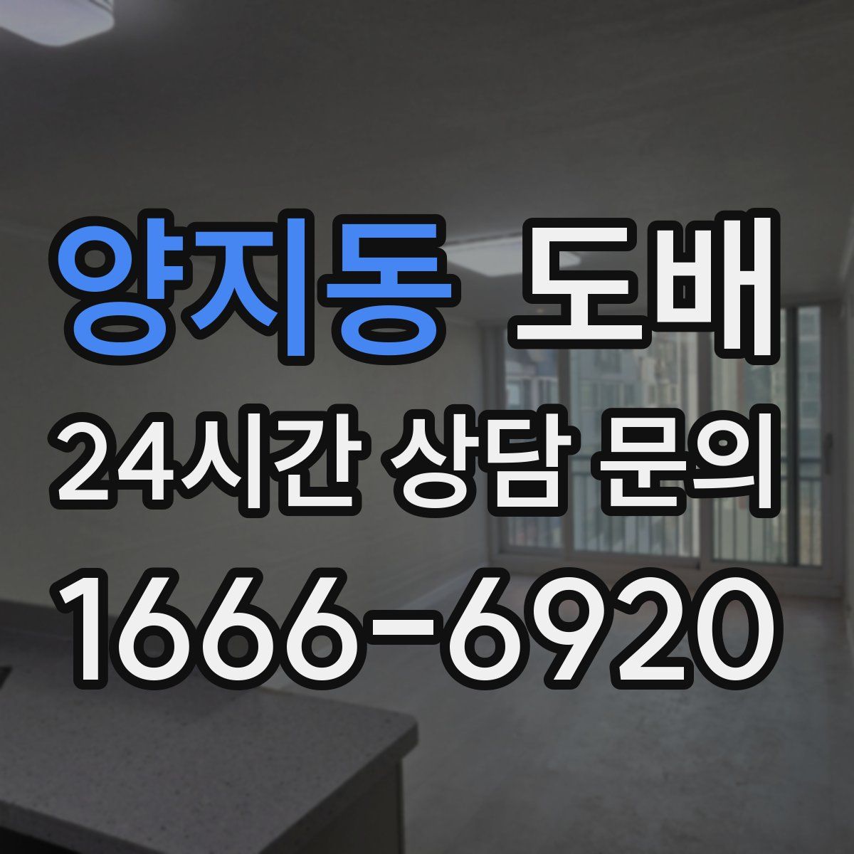 양지동 도배