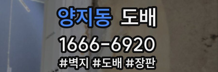 양지동 도배