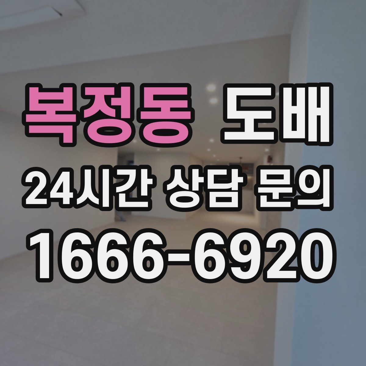 복정동 도배