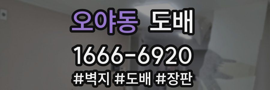 오야동 도배