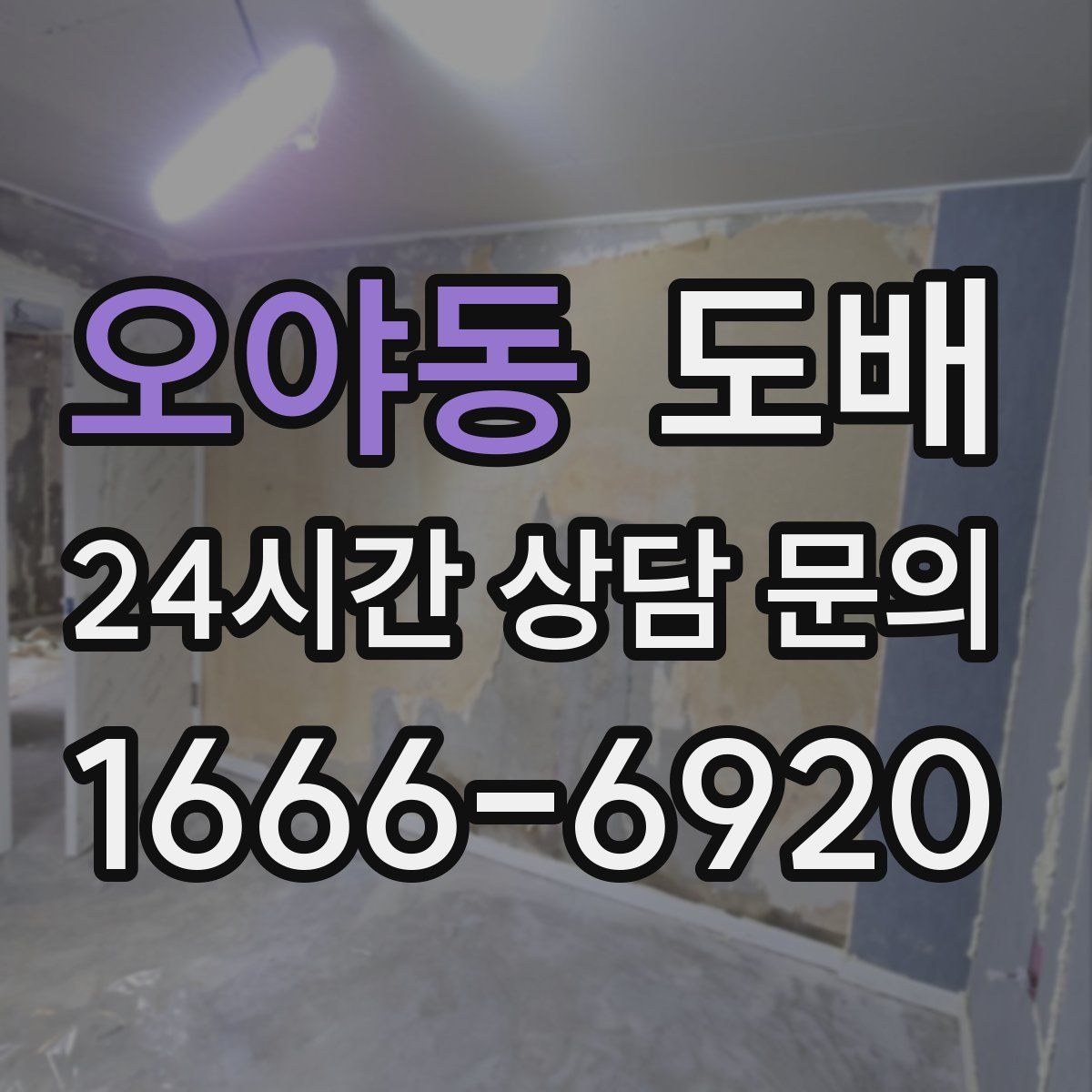 오야동 도배