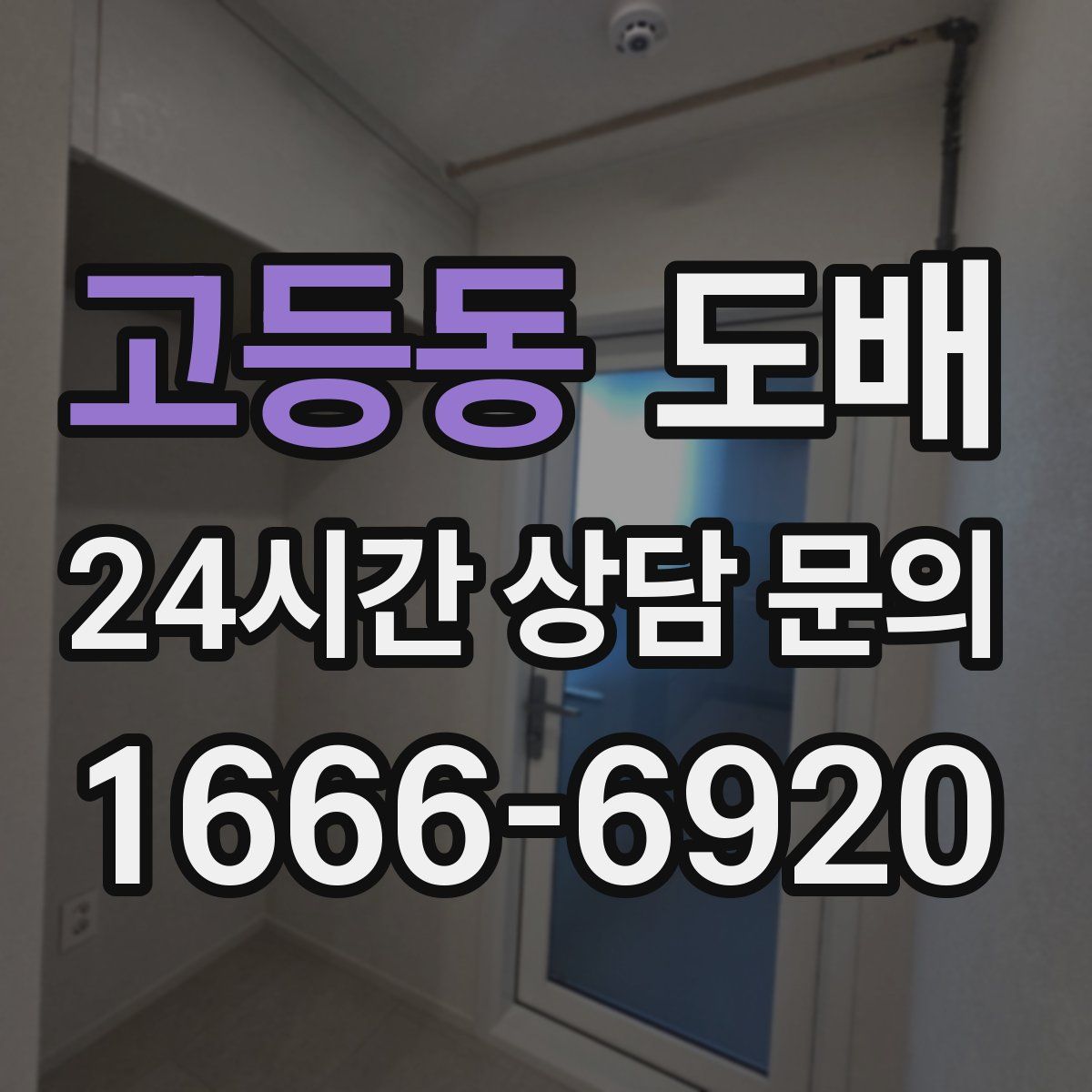 고등동 도배