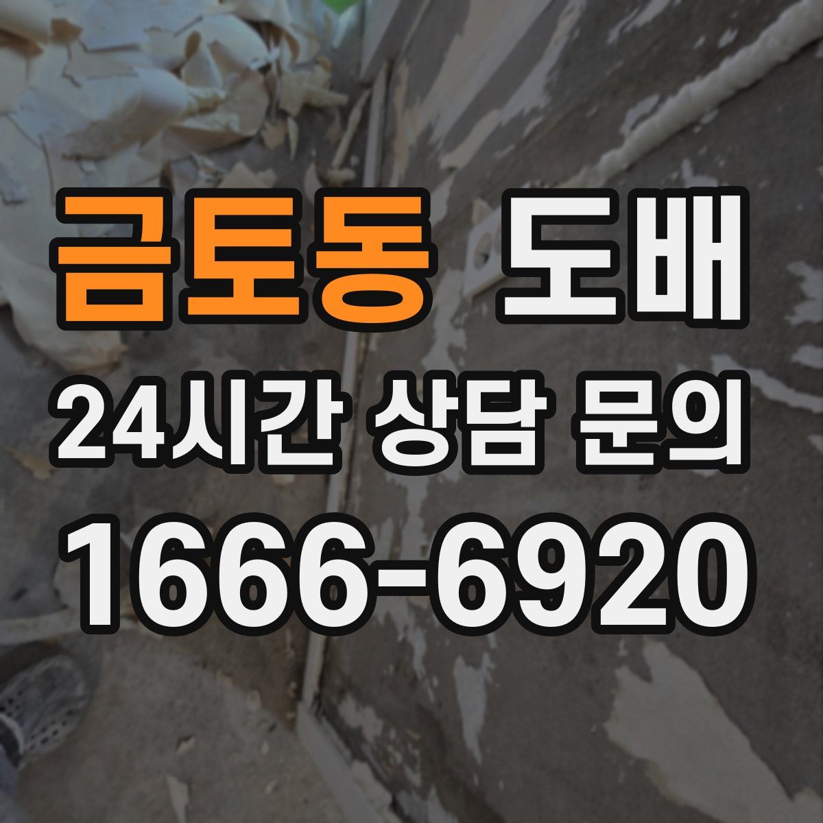 금토동 도배