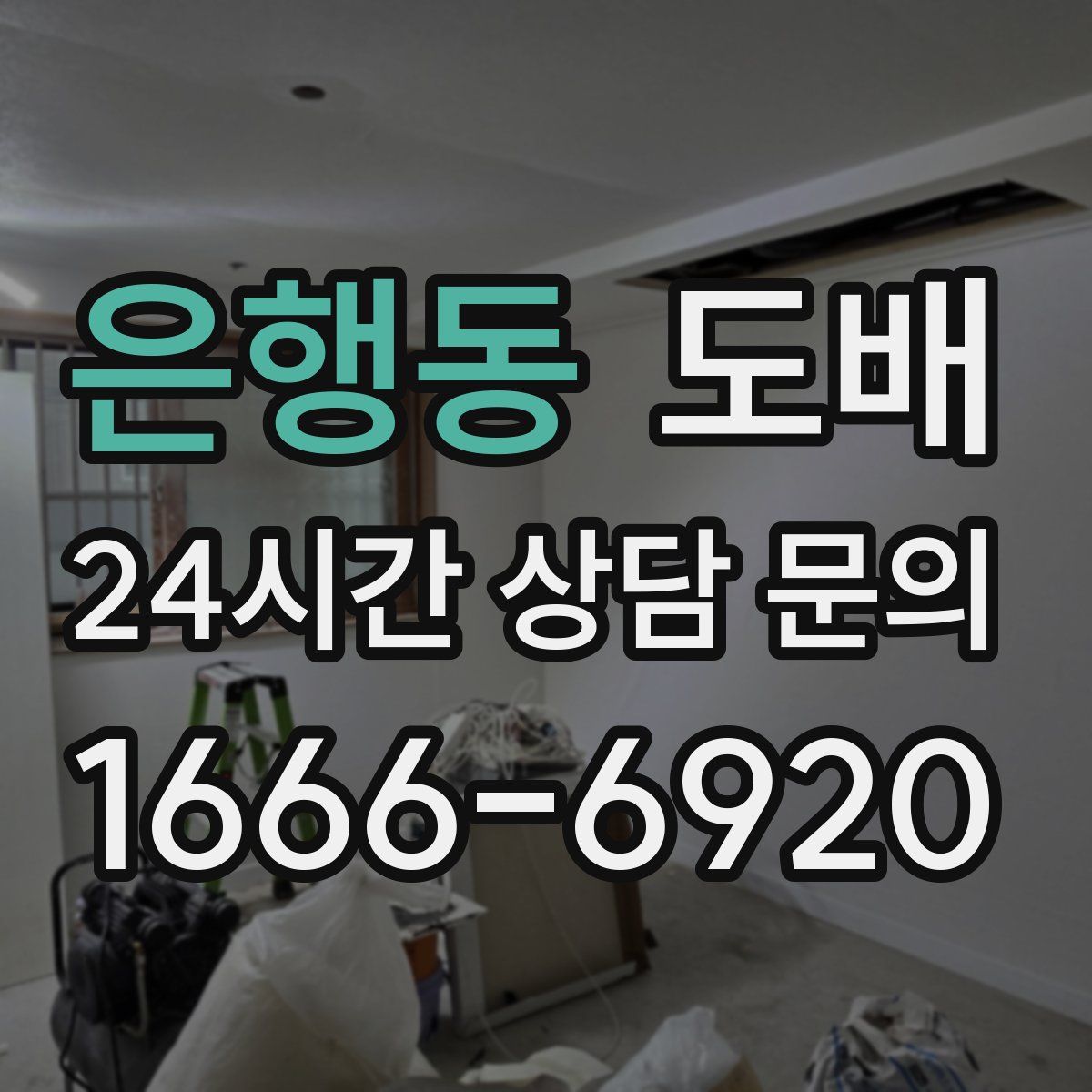 은행동 도배