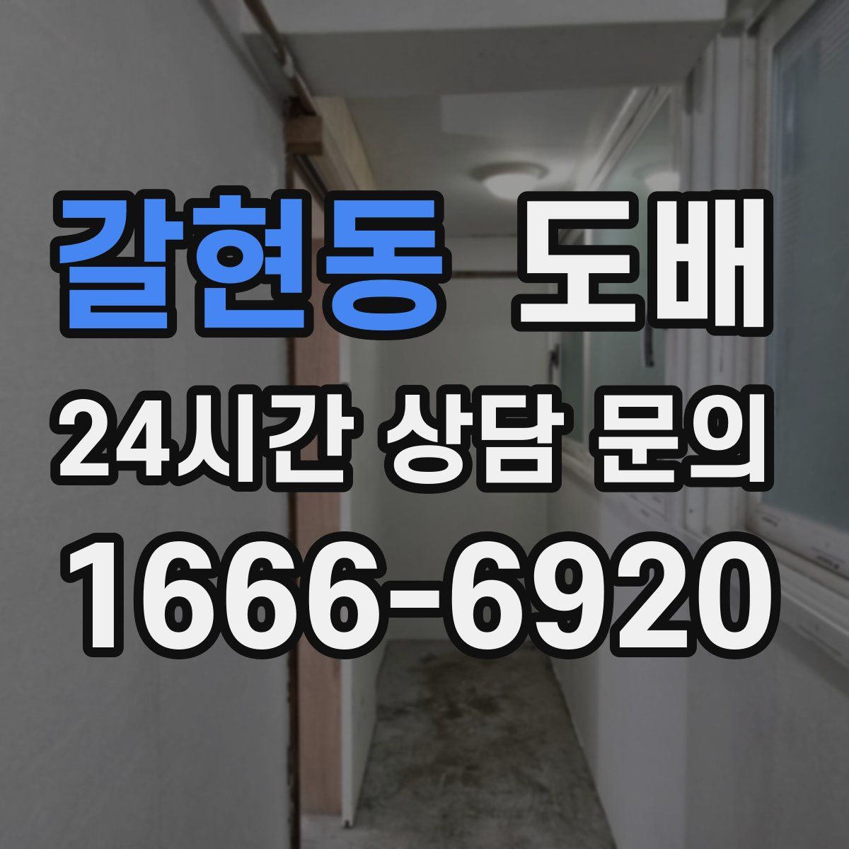 갈현동 도배