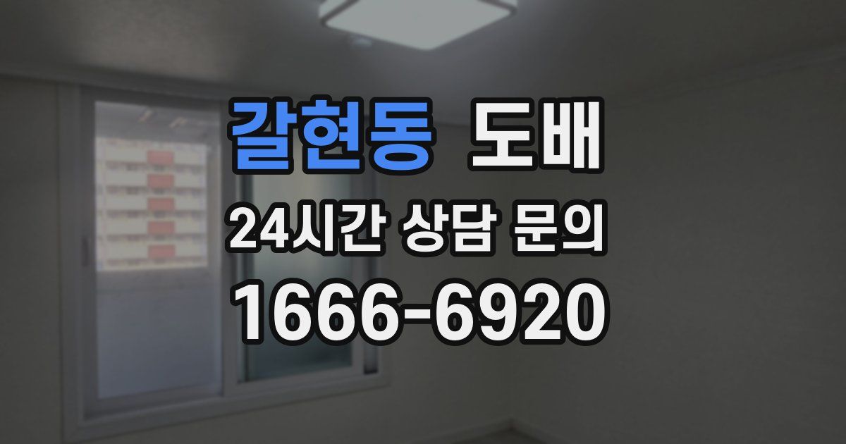 갈현동 도배