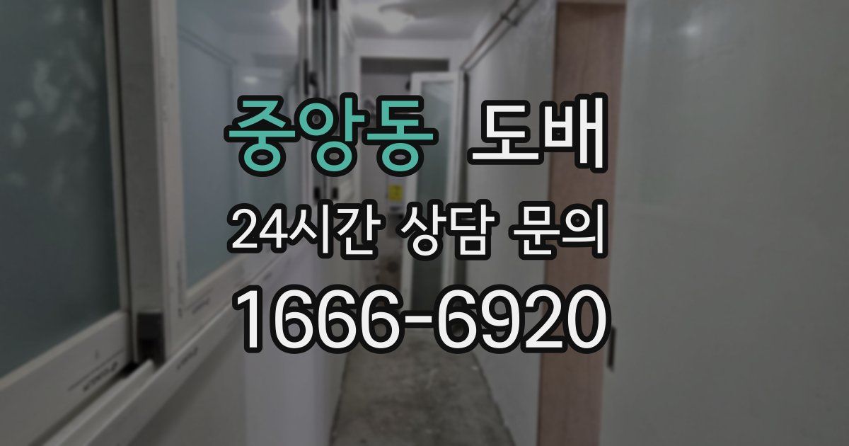중앙동 도배