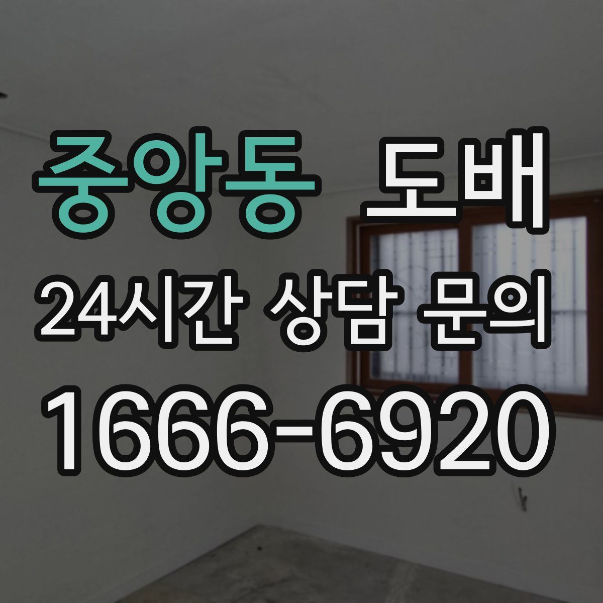 중앙동 도배