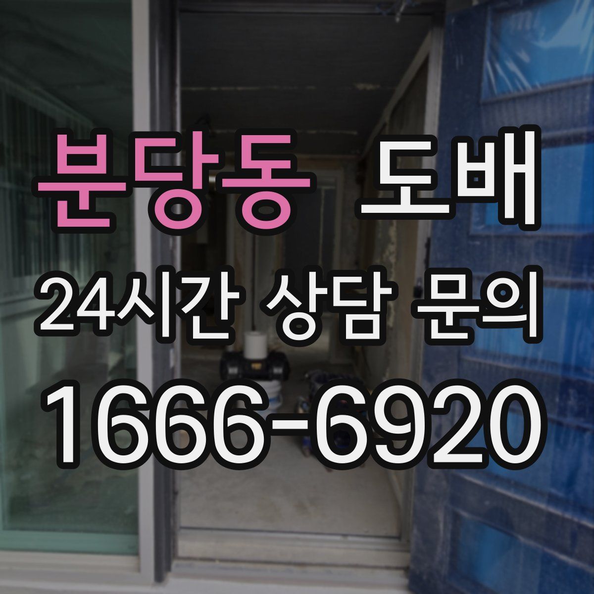 분당동 도배