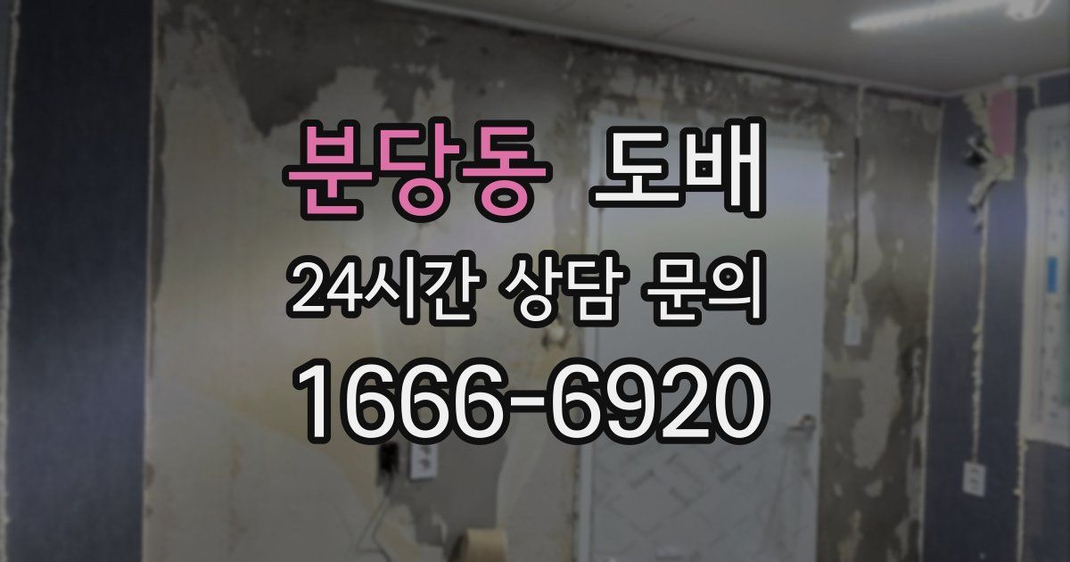 분당동 도배