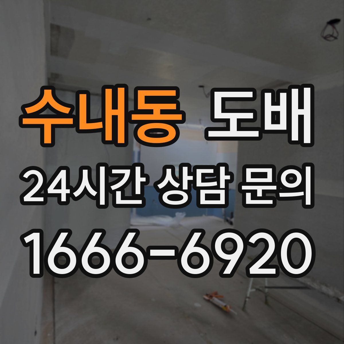 수내동 도배