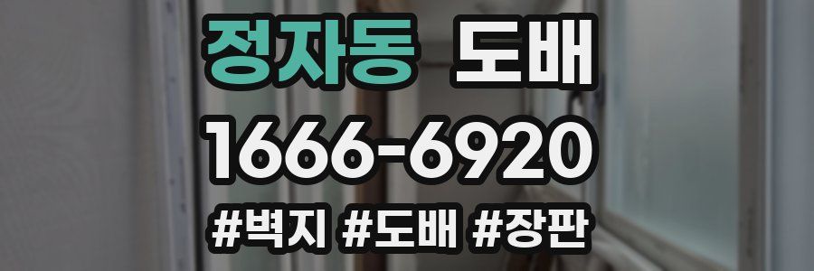 정자동 도배