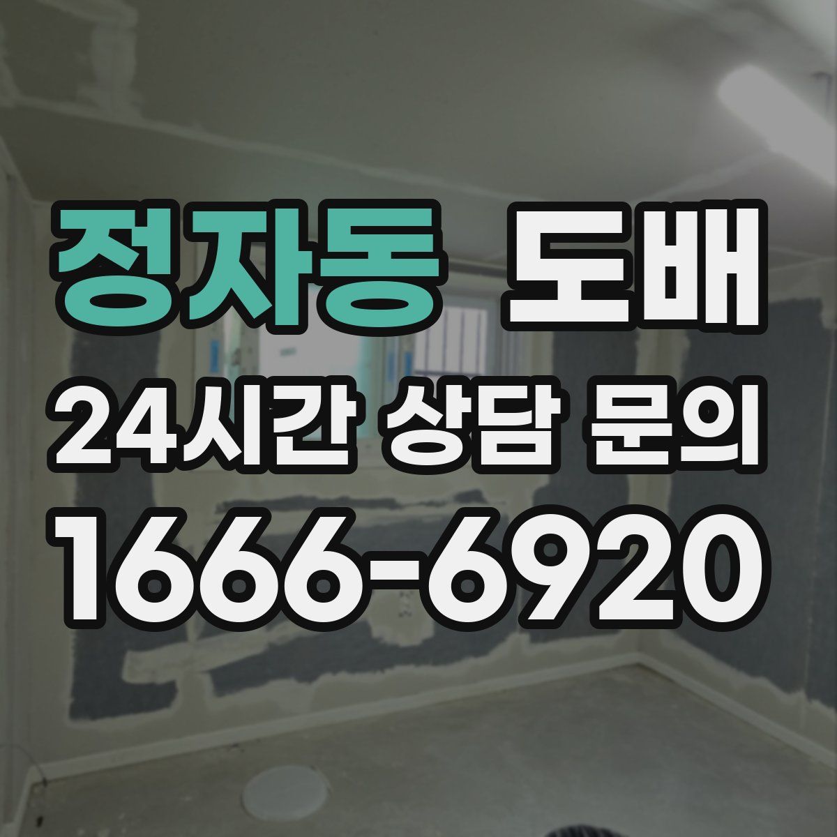 정자동 도배
