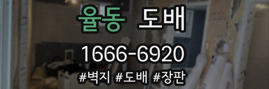 율동 도배