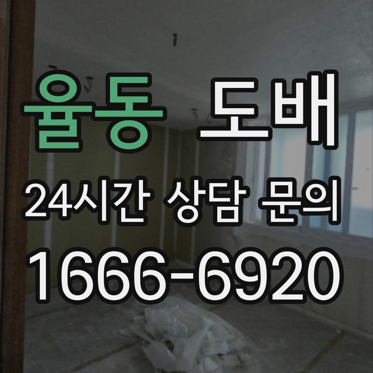 율동 도배