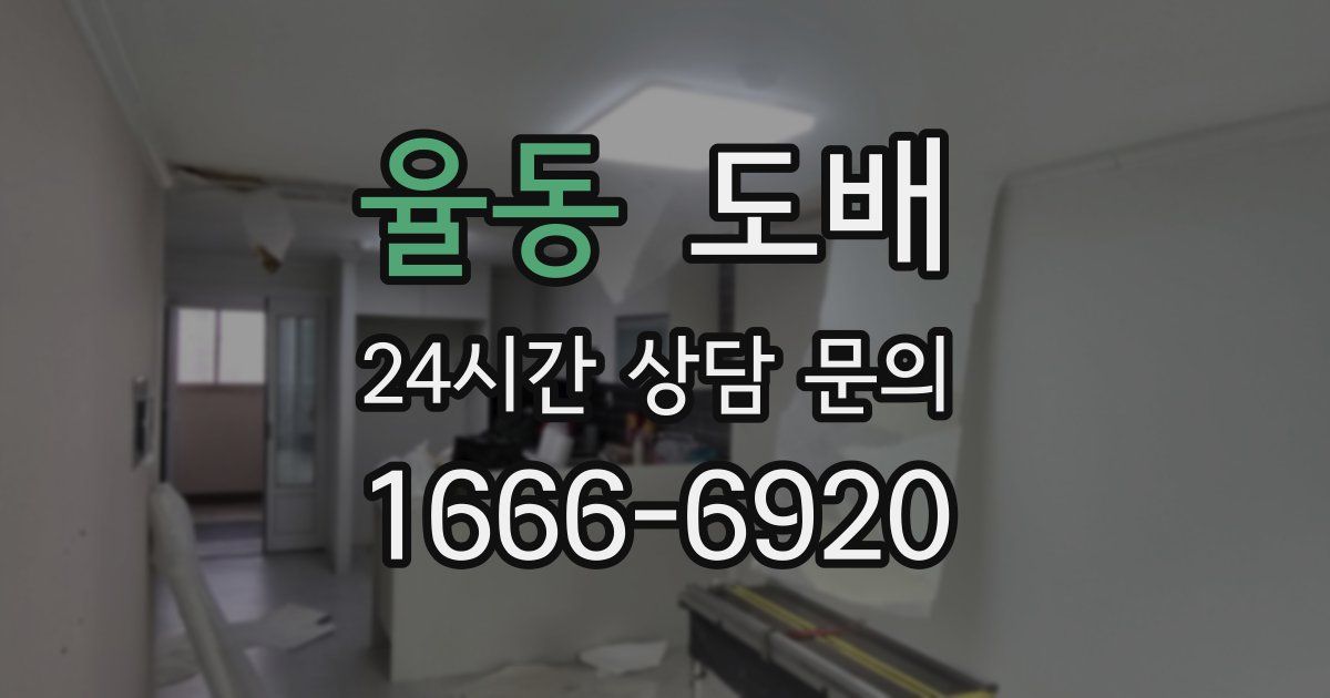 율동 도배