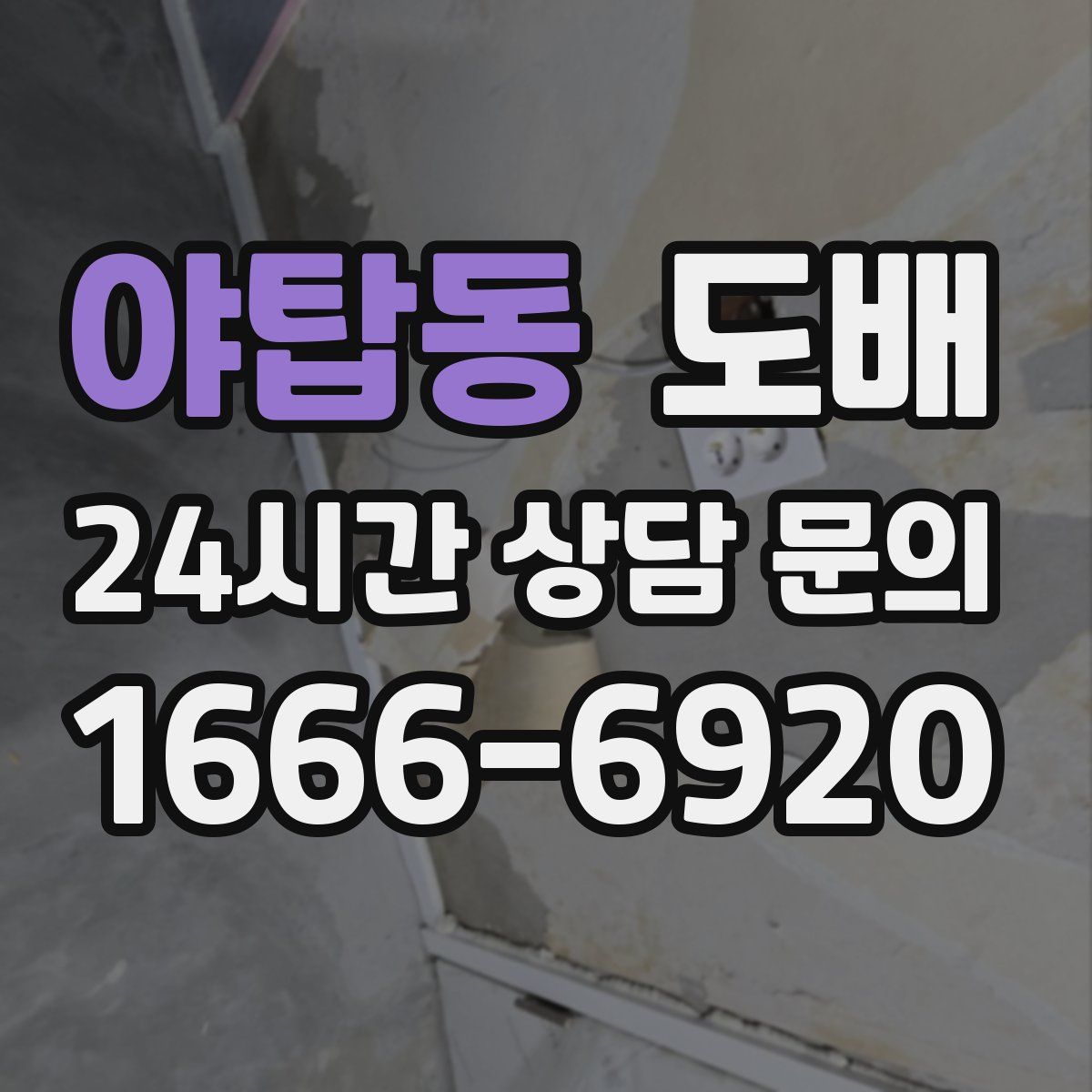 야탑동 도배