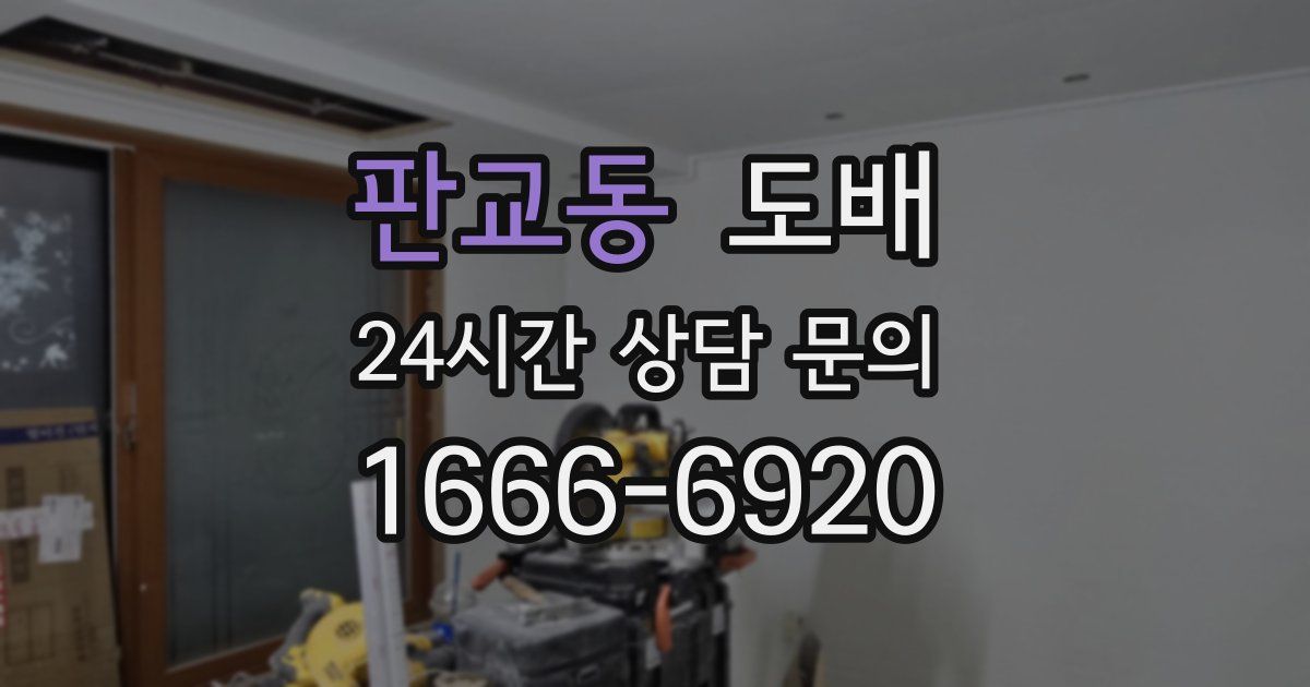 판교동 도배