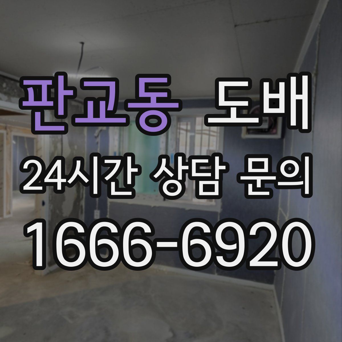 판교동 도배