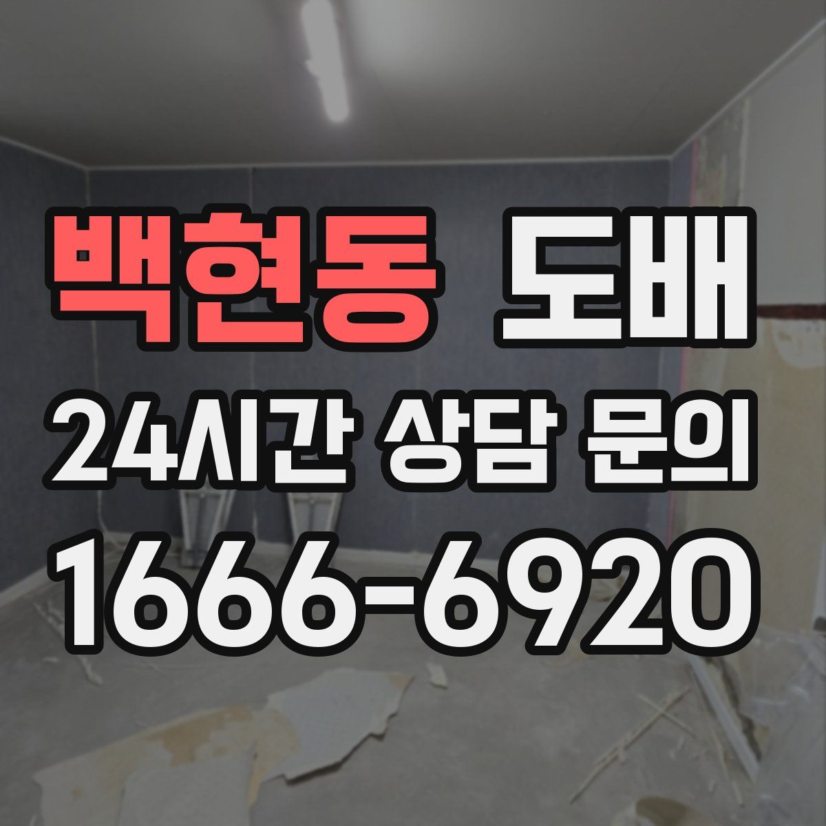 백현동 도배