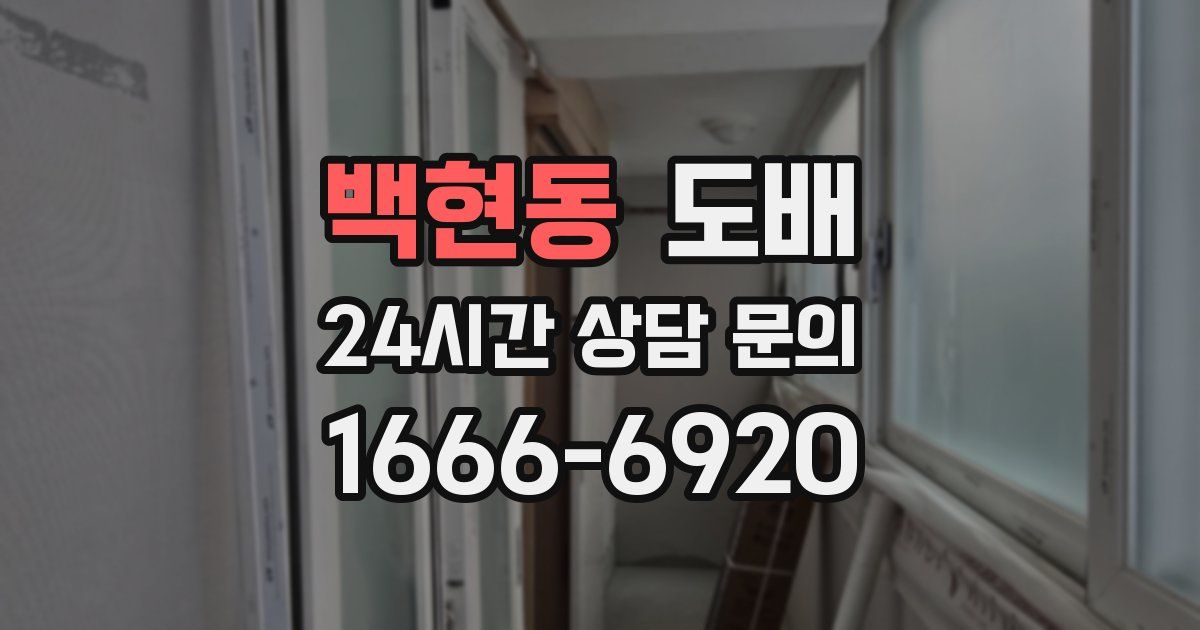 백현동 도배