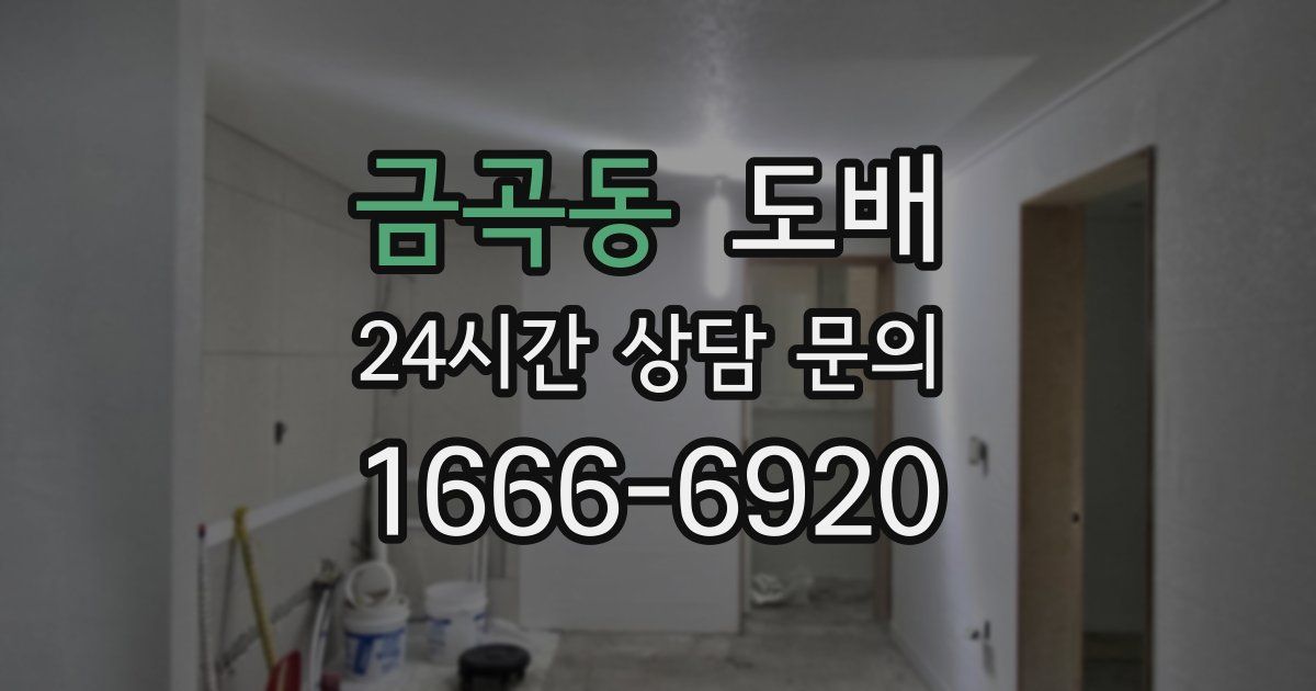 금곡동 도배