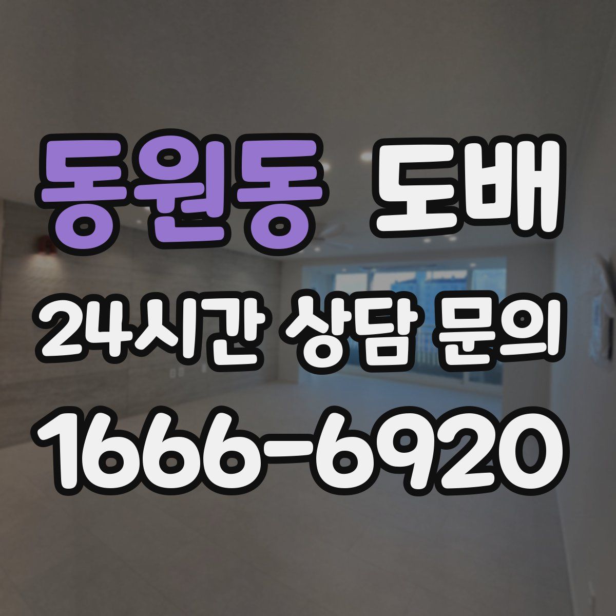 동원동 도배
