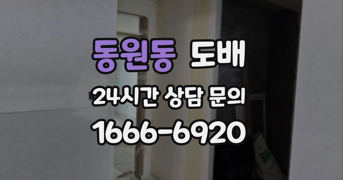 동원동 도배