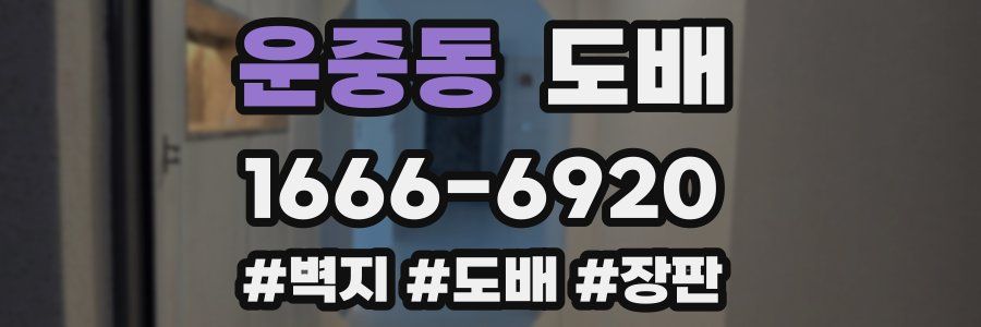 운중동 도배