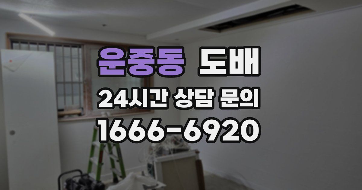 운중동 도배
