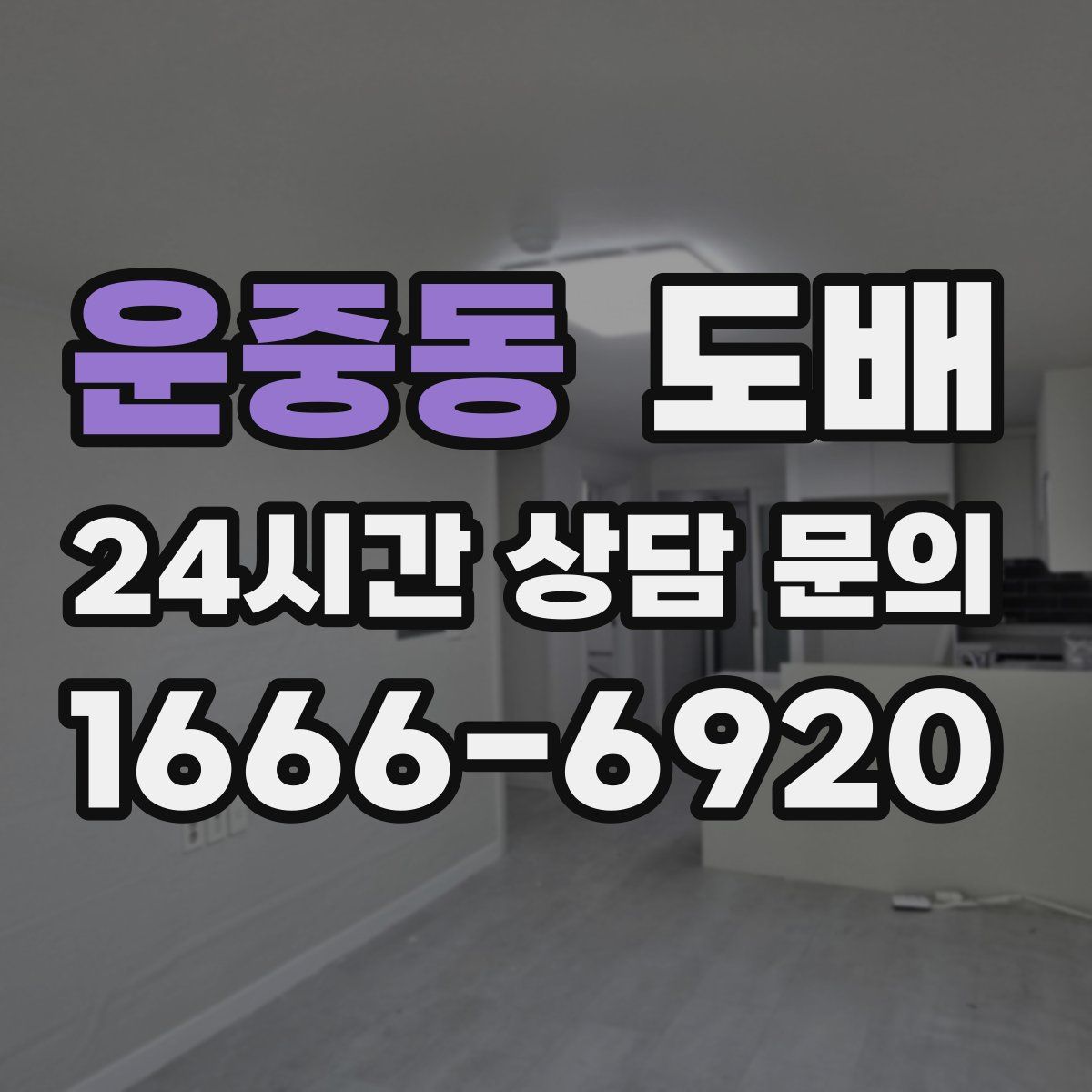 운중동 도배