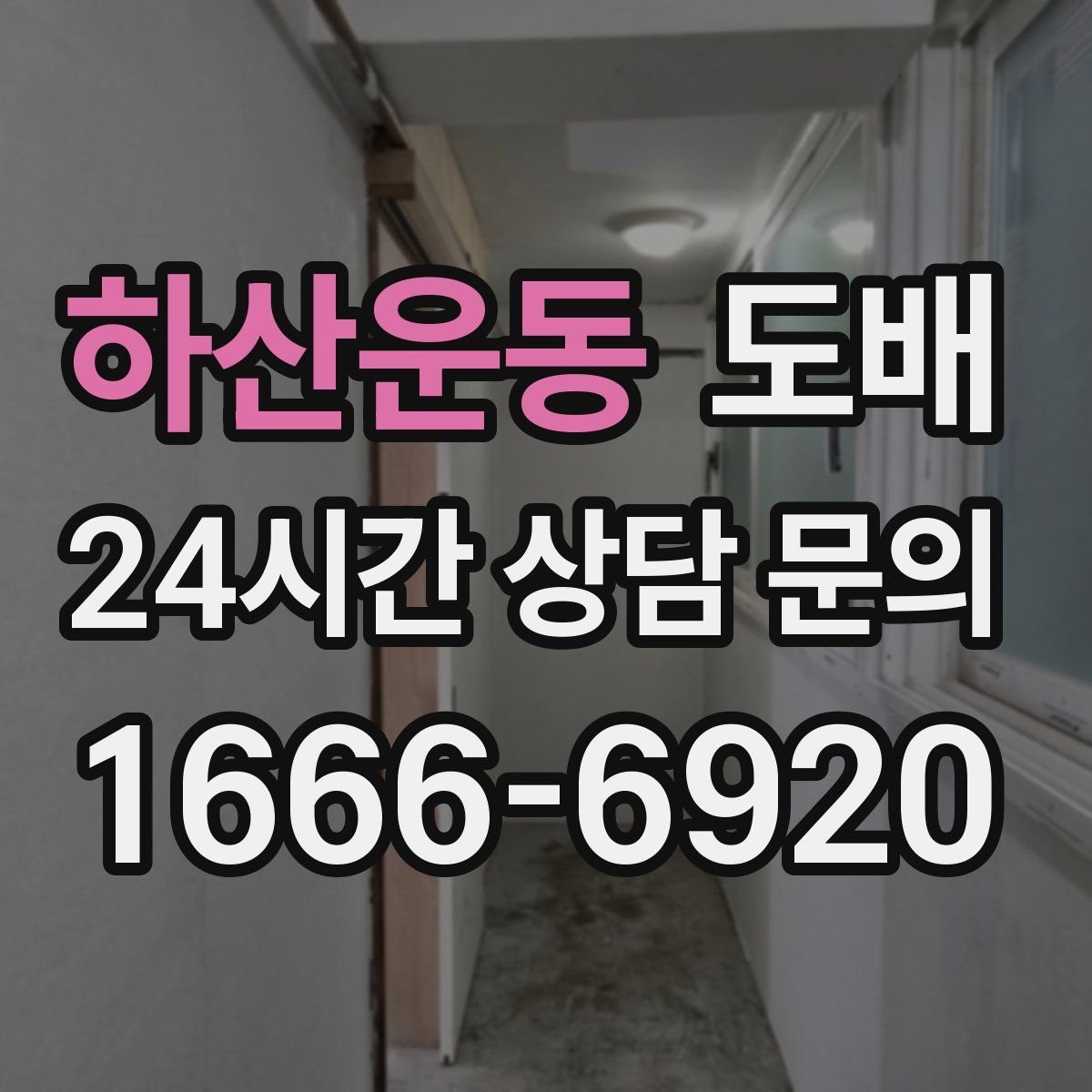 하산운동 도배