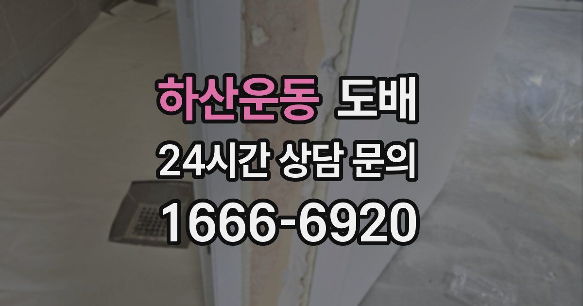 하산운동 도배