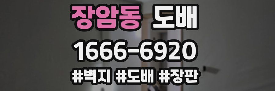 장암동 도배