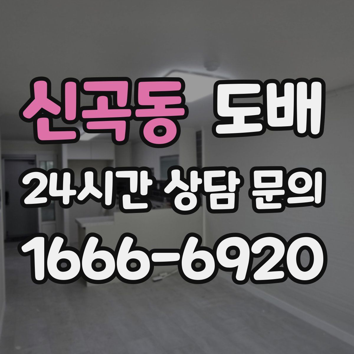 신곡동 도배
