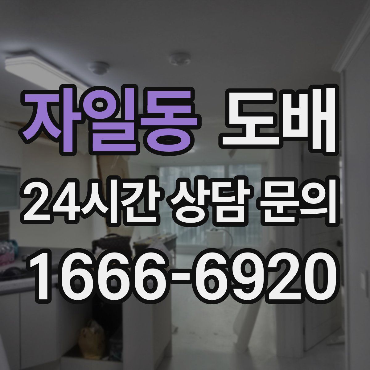자일동 도배