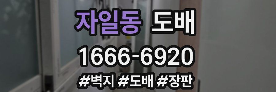 자일동 도배
